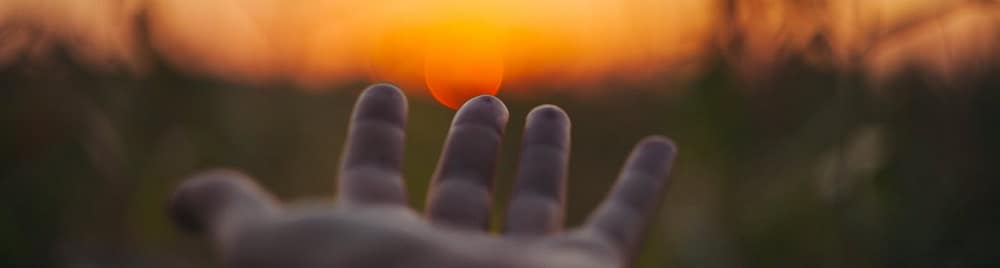 alexei-scutari-560667-unsplash