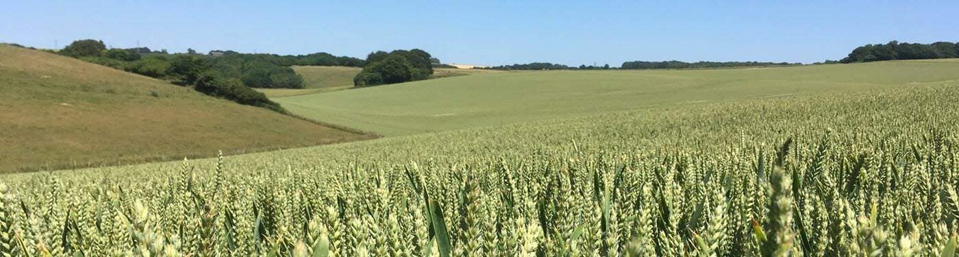 experience Experience