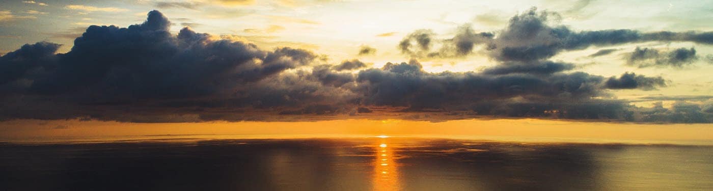 Placeholder Select Dynamic field