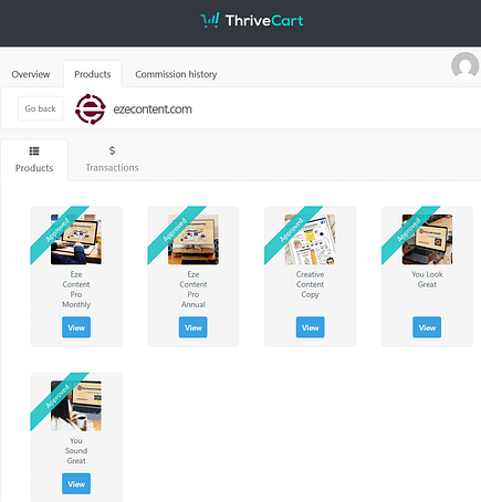 Affiliate Registration 6