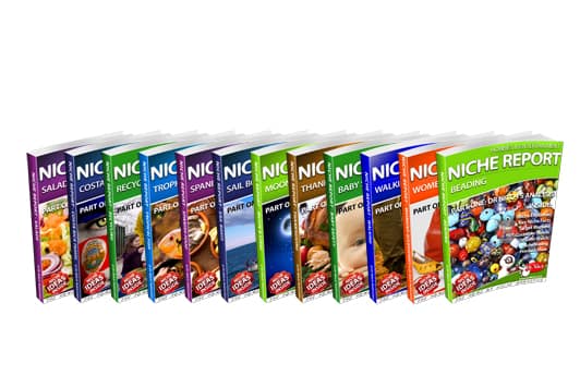 Report Dept Header Collection Page Width copy